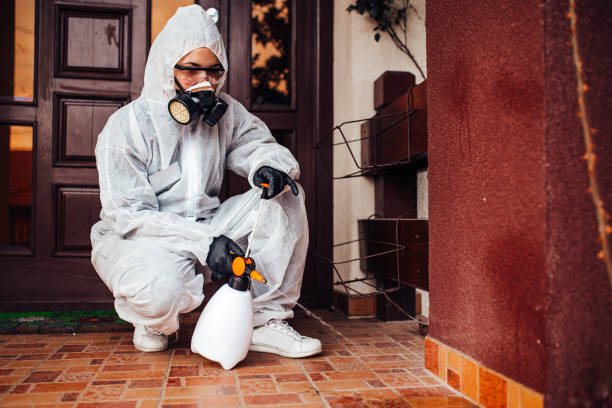 Attic and Crawl Space Rodent Treatment in East Pittsburgh
