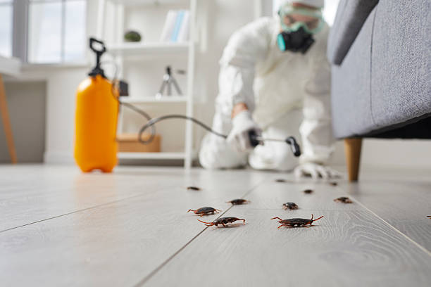 Commercial Rodent Management in East Pittsburgh